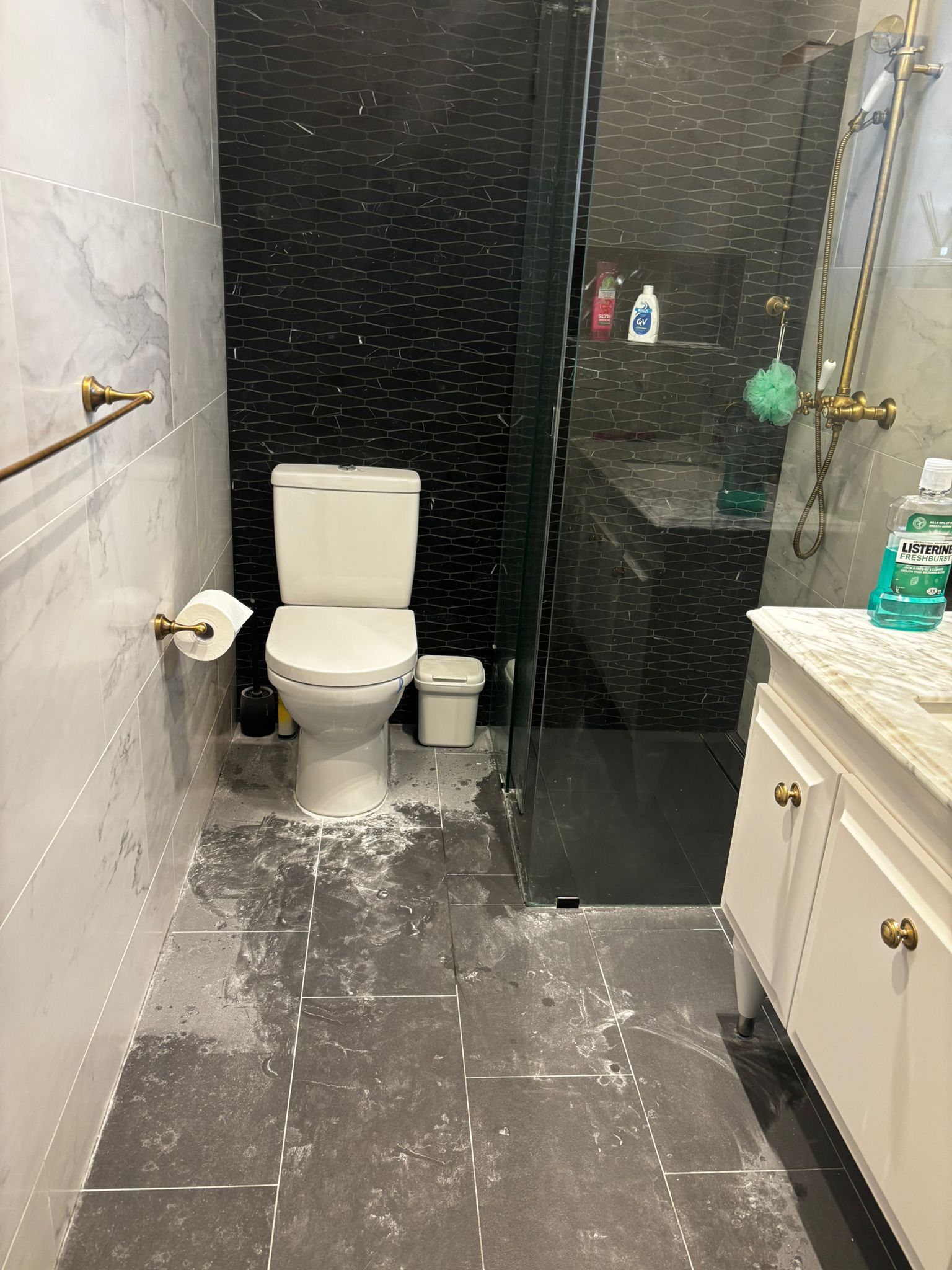 Toilet before domestic cleaning
